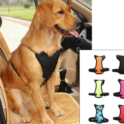 pet-car-seat-belts